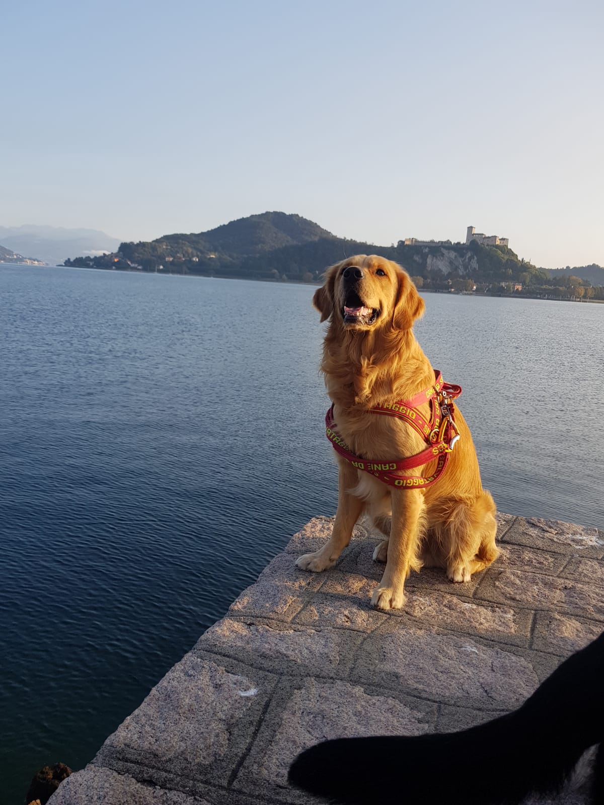 scuola cani salvataggio piemonte